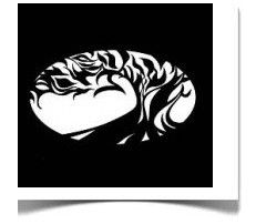 Creative Connections